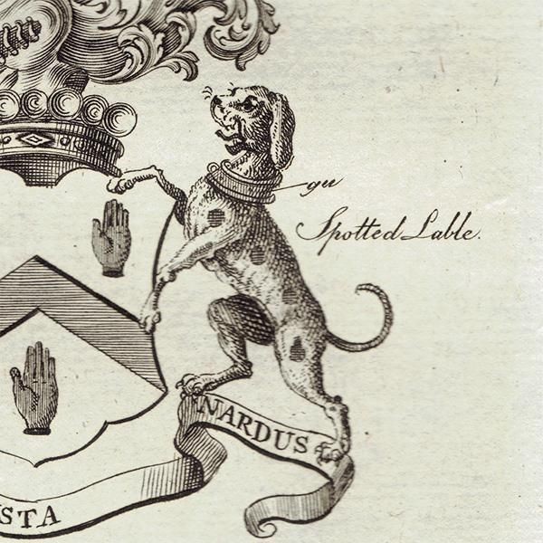 ѹ² Maynard Viscounts MaynardʥᥤʡɻҼߡˡ   ƥ ץ 1779ǯ  |  1236