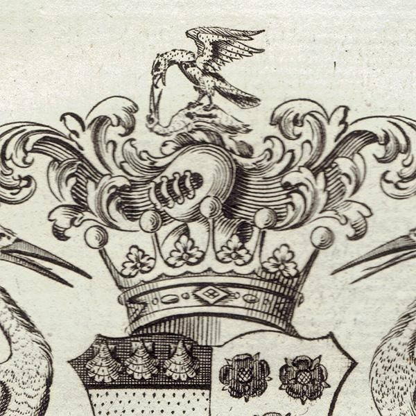 ѹ² Graham Earl Grahamʥϥߡˡ   ƥ ץ 1779ǯ  |  1240