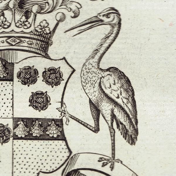 ѹ² Graham Earl Grahamʥϥߡˡ   ƥ ץ 1779ǯ  |  1240
