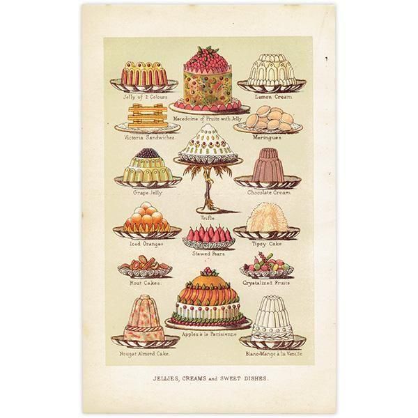 ߥӡȥβܤ JELLIES,CREAMS and SWEET DISHES ꡼ʤɥ 1898ǯ ꥹƥץ 0185