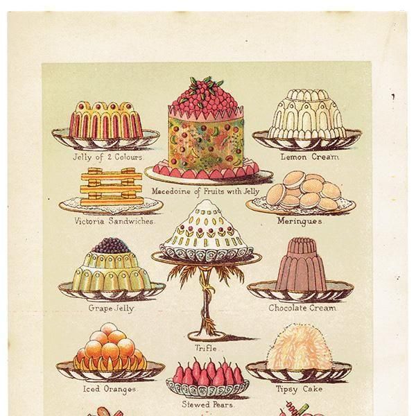 ߥӡȥβܤ JELLIES,CREAMS and SWEET DISHES ꡼ʤɥ 1898ǯ ꥹƥץ 0185
