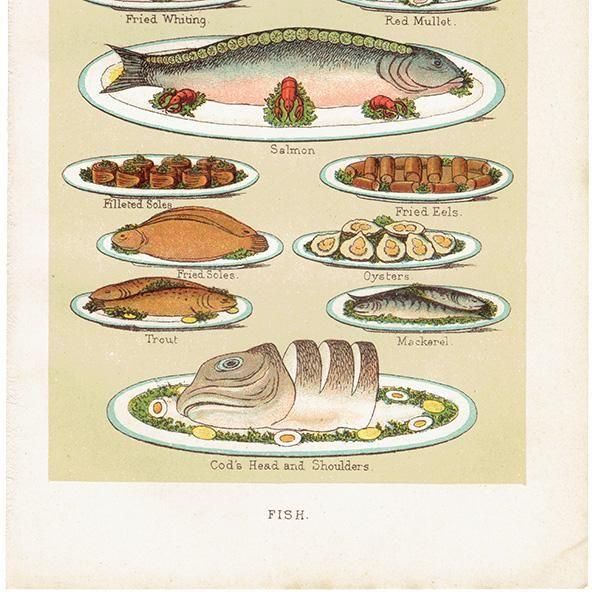 ߥӡȥβܤ FISH  1898ǯ ꥹƥץ 0186