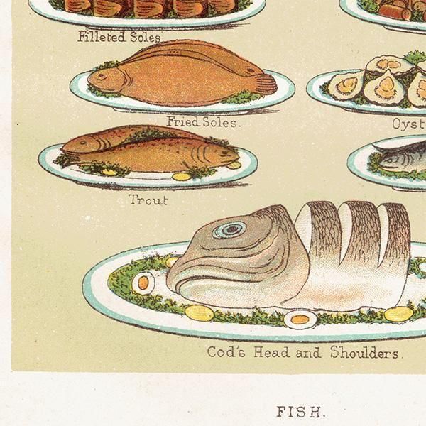 ߥӡȥβܤ FISH  1898ǯ ꥹƥץ 0186