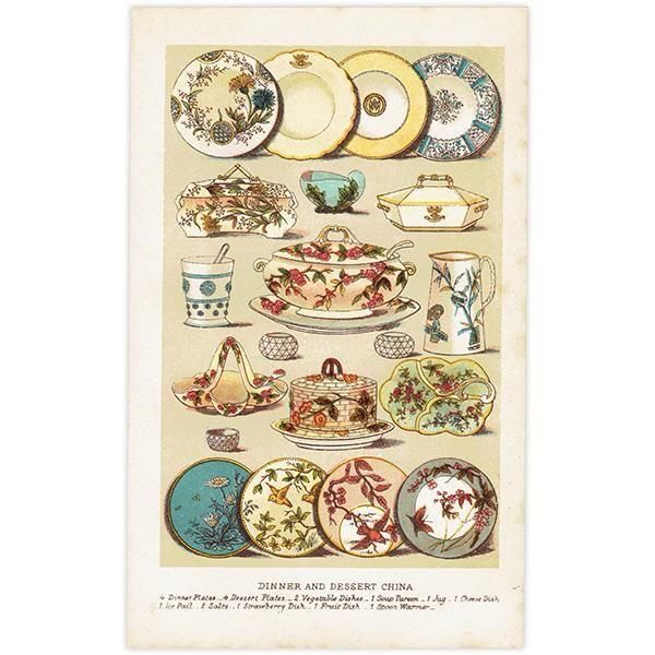 ߥӡȥβܤ DINNER AND DESSERT CHINA ͼǥѤμ 1898ǯ ꥹƥץ 0188