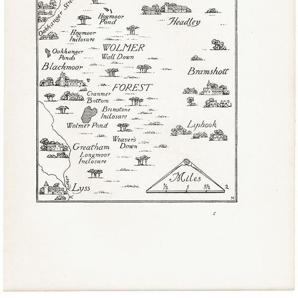 ܡSelborneˤȤζ٥ޥå  1900ǯ ꥹƥ | 1001
