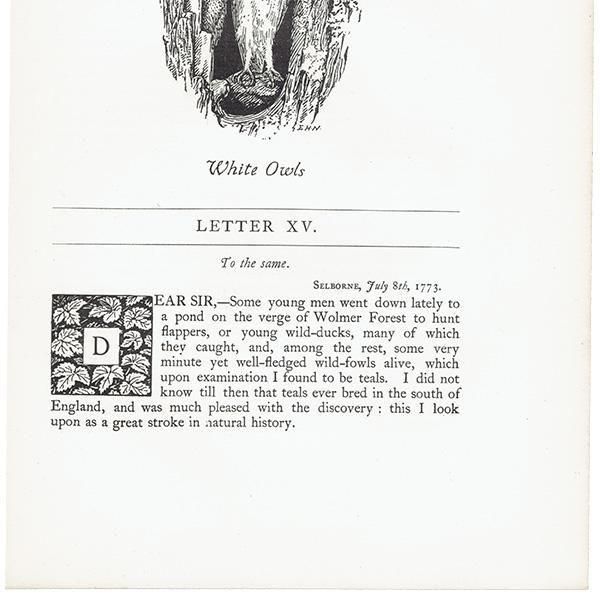 White Owls եΥ饹  1900ǯ ꥹƥ | 1005