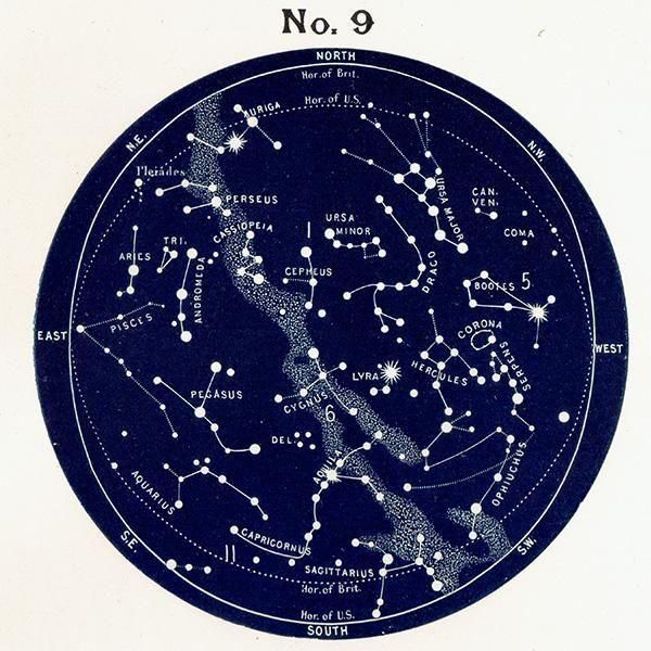 洋書◇1910年 星の図鑑 星座 STARS 天文書 イギリス 古書 - メルカリ
