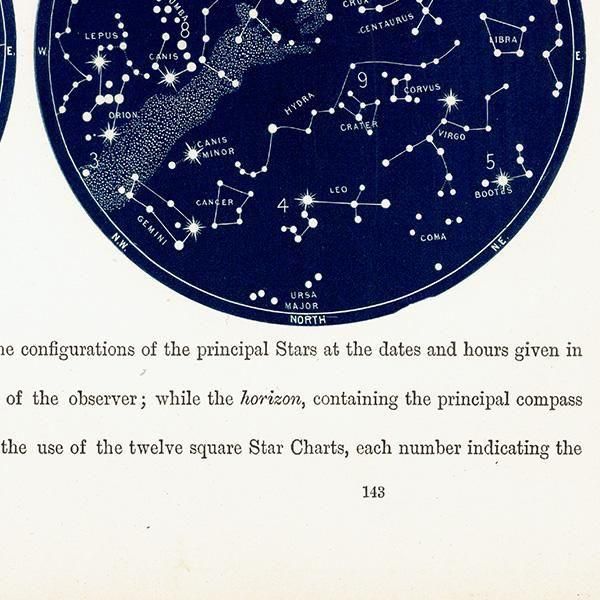 即日発送 星座マップ 南半球 天文学】天体図 Map Southern the for 洋書