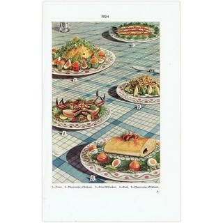 ߥӡȥβܤ FISH  1949ǯ ꥹƥץ 0195<img class='new_mark_img2' src='https://img.shop-pro.jp/img/new/icons5.gif' style='border:none;display:inline;margin:0px;padding:0px;width:auto;' />