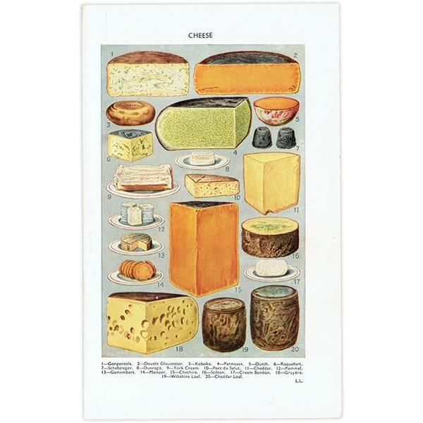 ߥӡȥβܤ CHEESE  1949ǯ ꥹƥץ 0200<img class='new_mark_img2' src='https://img.shop-pro.jp/img/new/icons5.gif' style='border:none;display:inline;margin:0px;padding:0px;width:auto;' />