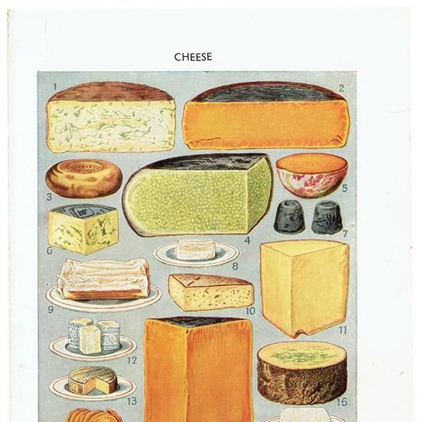 ߥӡȥβܤ CHEESE  1949ǯ ꥹƥץ 0200<img class='new_mark_img2' src='https://img.shop-pro.jp/img/new/icons5.gif' style='border:none;display:inline;margin:0px;padding:0px;width:auto;' />