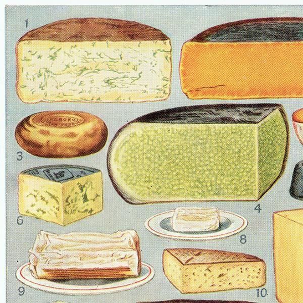 ߥӡȥβܤ CHEESE  1949ǯ ꥹƥץ 0200<img class='new_mark_img2' src='https://img.shop-pro.jp/img/new/icons5.gif' style='border:none;display:inline;margin:0px;padding:0px;width:auto;' />