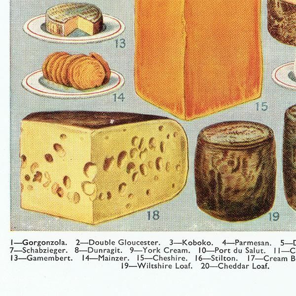 ߥӡȥβܤ CHEESE  1949ǯ ꥹƥץ 0200<img class='new_mark_img2' src='https://img.shop-pro.jp/img/new/icons5.gif' style='border:none;display:inline;margin:0px;padding:0px;width:auto;' />