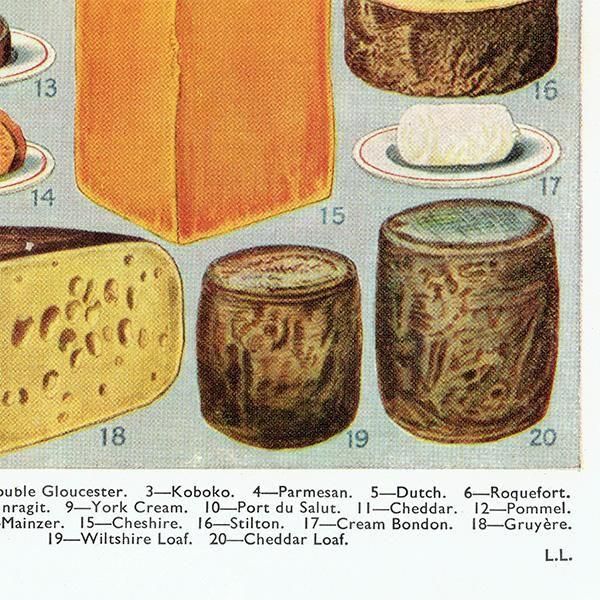 ߥӡȥβܤ CHEESE  1949ǯ ꥹƥץ 0200<img class='new_mark_img2' src='https://img.shop-pro.jp/img/new/icons5.gif' style='border:none;display:inline;margin:0px;padding:0px;width:auto;' />