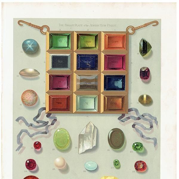 ユダヤ教の大祭司の胸当てと宝石たち 鉱物学 博物画 フランス