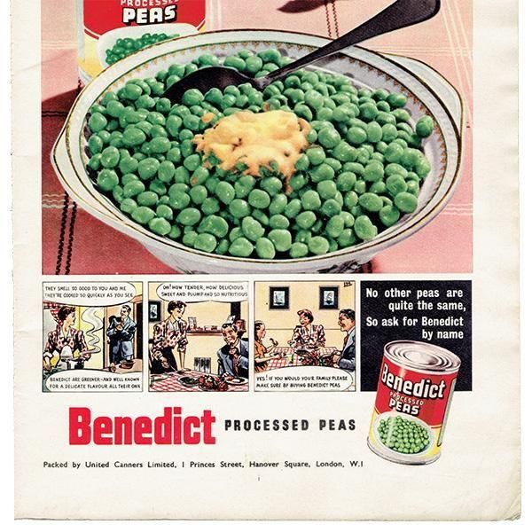 Benedict processed peas ꥹ ʡƦˤΥơ 1951ǯ  1012<img class='new_mark_img2' src='https://img.shop-pro.jp/img/new/icons5.gif' style='border:none;display:inline;margin:0px;padding:0px;width:auto;' />
