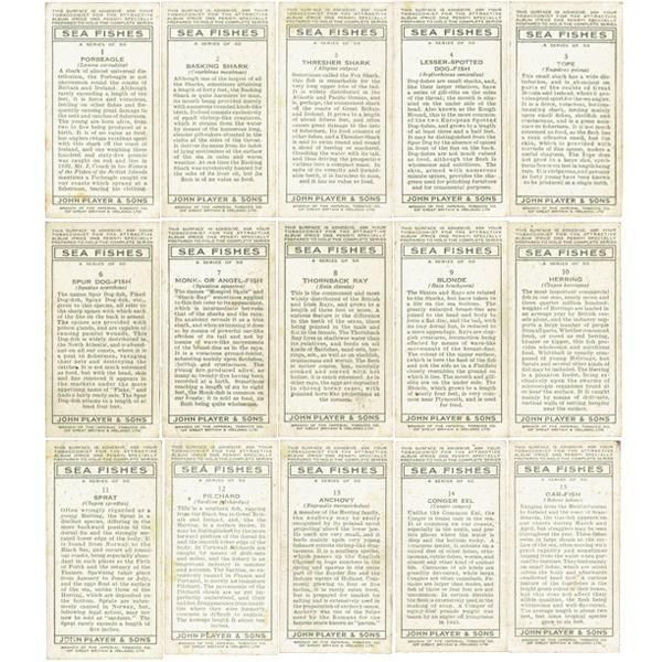 ꥹ åȥ ε꡼ SEA FISHES 50ե륻å 1935ǯ 1001