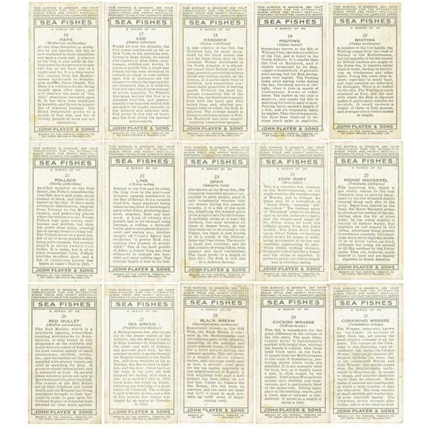 ꥹ åȥ ε꡼ SEA FISHES 50ե륻å 1935ǯ 1001