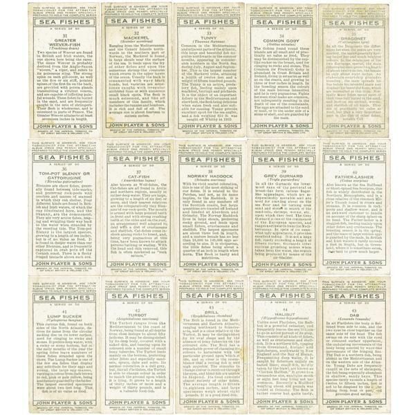 ꥹ åȥ ε꡼ SEA FISHES 50ե륻å 1935ǯ 1001