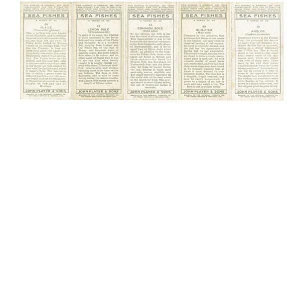 ꥹ åȥ ε꡼ SEA FISHES 50ե륻å 1935ǯ 1001