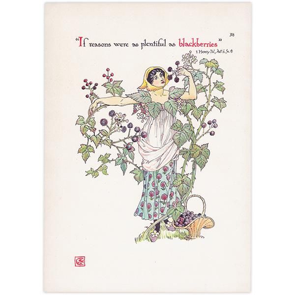 ֥å٥꡼  Flowers from Shakespeares Garden  륿쥤 1906ǯ  | 2001