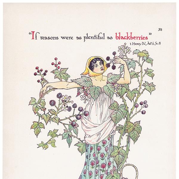 ֥å٥꡼  Flowers from Shakespeares Garden  륿쥤 1906ǯ  | 2001