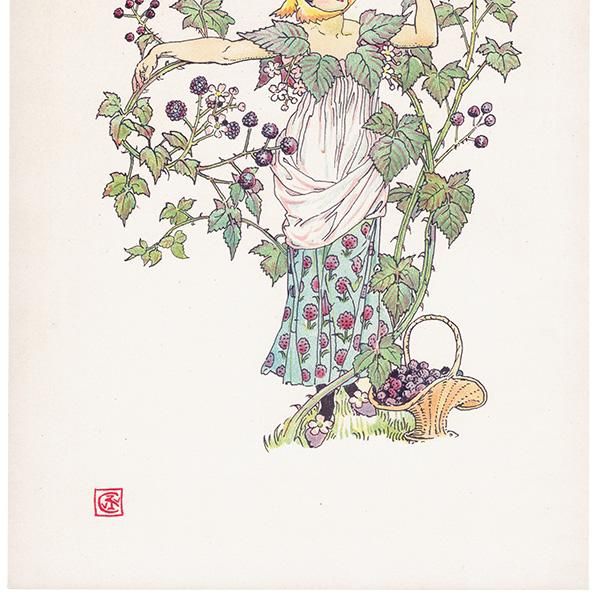֥å٥꡼  Flowers from Shakespeares Garden  륿쥤 1906ǯ  | 2001