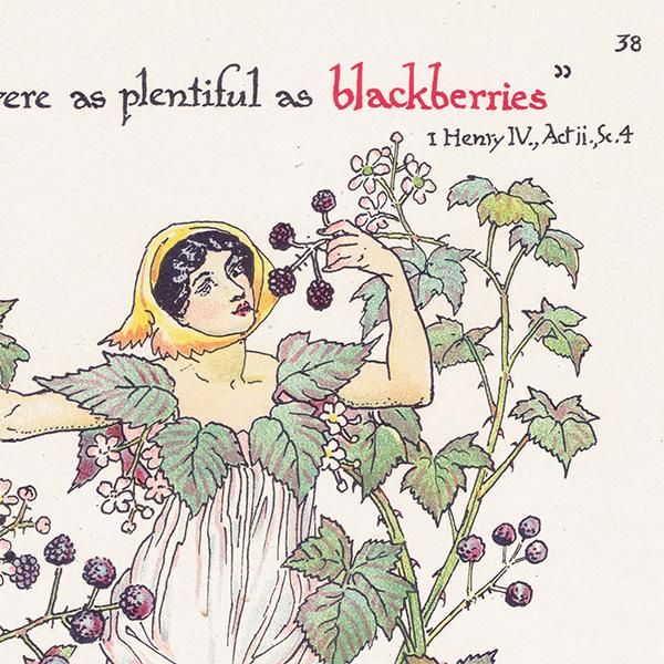 ֥å٥꡼  Flowers from Shakespeares Garden  륿쥤 1906ǯ  | 2001