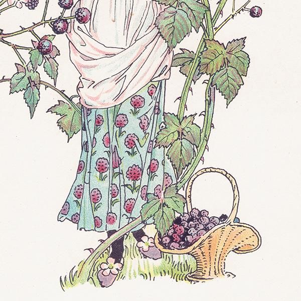 ֥å٥꡼  Flowers from Shakespeares Garden  륿쥤 1906ǯ  | 2001