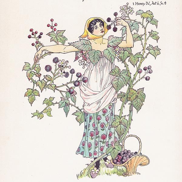 ֥å٥꡼  Flowers from Shakespeares Garden  륿쥤 1906ǯ  | 2001