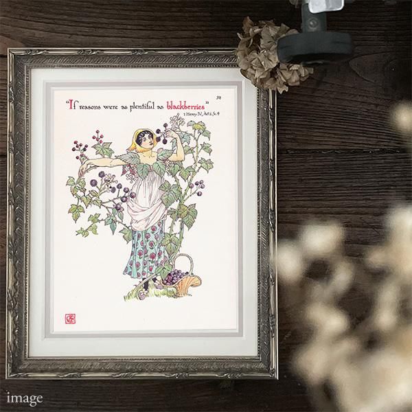 ֥å٥꡼  Flowers from Shakespeares Garden  륿쥤 1906ǯ  | 2001