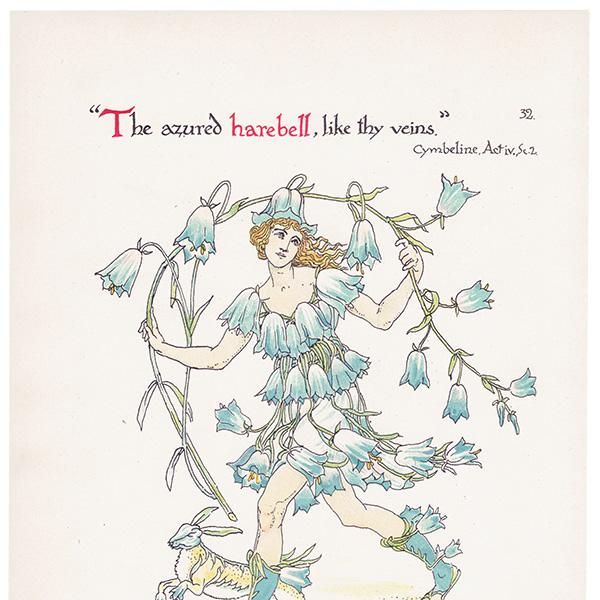 ֥롼٥ Flowers from Shakespeares Garden  륿쥤 1906ǯ  | 2002