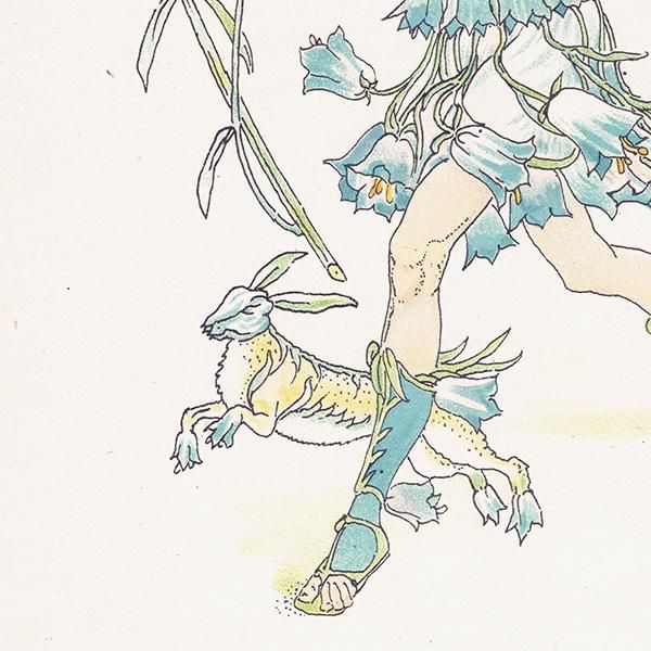 ֥롼٥ Flowers from Shakespeares Garden  륿쥤 1906ǯ  | 2002