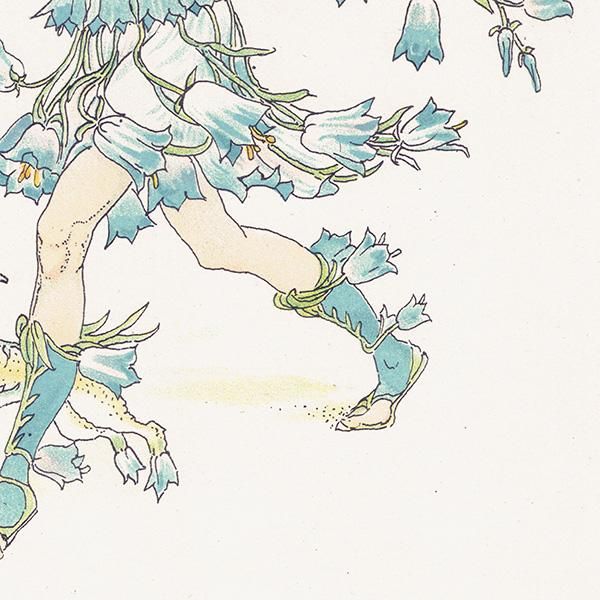 ֥롼٥ Flowers from Shakespeares Garden  륿쥤 1906ǯ  | 2002