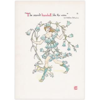 ֥롼٥ Flowers from Shakespeares Garden  륿쥤 1906ǯ  | 2002