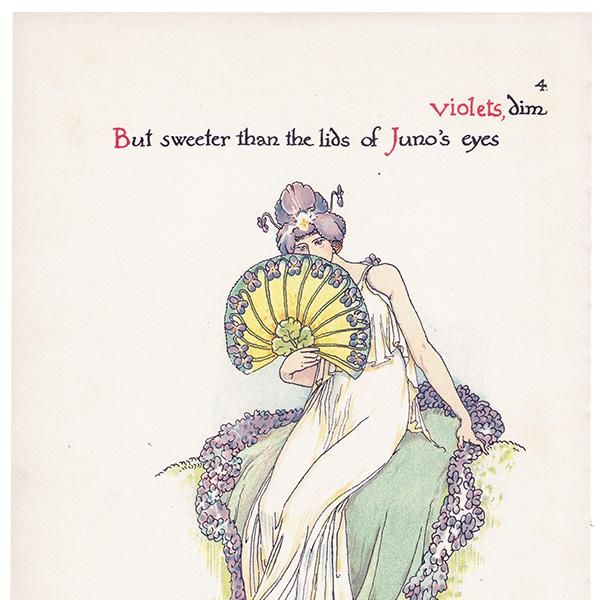 ߥ Flowers from Shakespeares Garden  륿쥤 1906ǯ  | 2004