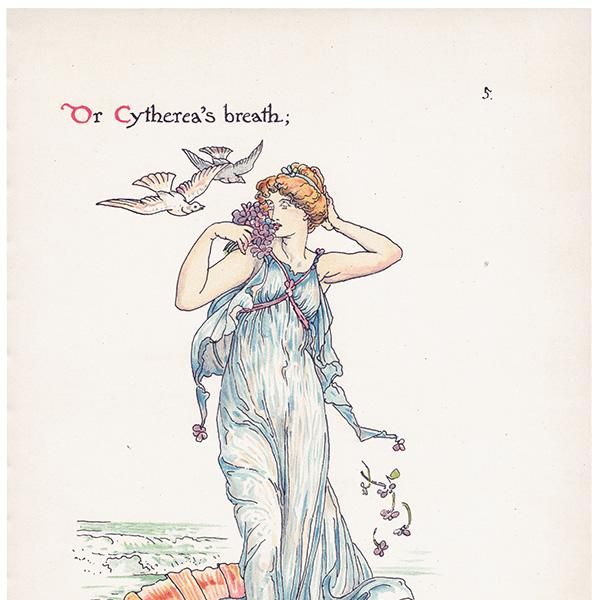 Cythereʥ Flowers from Shakespeares Garden  륿쥤 1906ǯ  | 2005