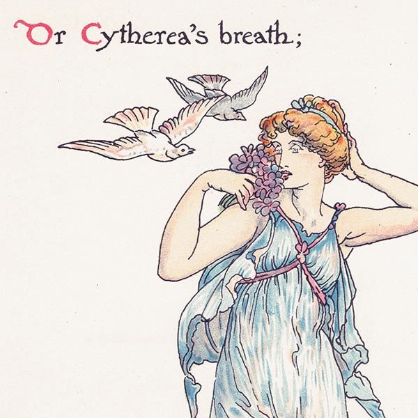 Cythereʥ Flowers from Shakespeares Garden  륿쥤 1906ǯ  | 2005