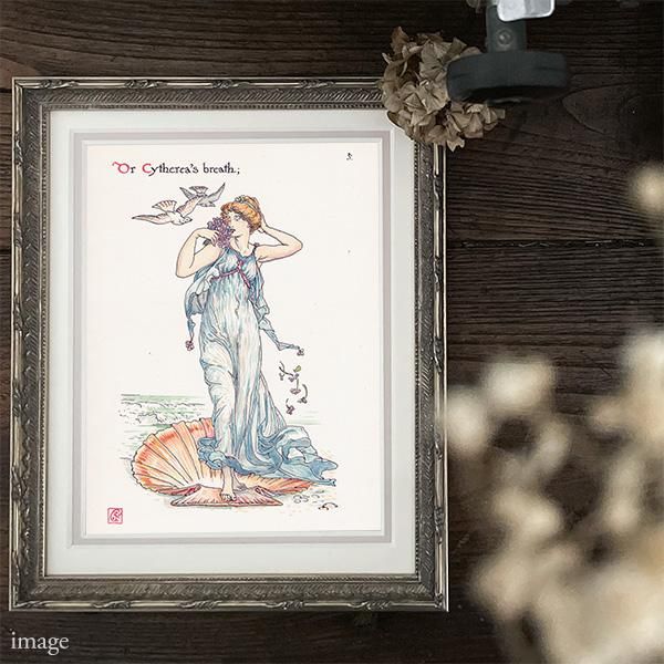 Cythereʥ Flowers from Shakespeares Garden  륿쥤 1906ǯ  | 2005