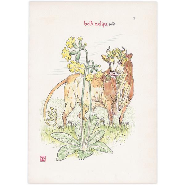 ץ顦ƥOxlip Flowers from Shakespeares Garden  륿쥤 1906ǯ  | 2006