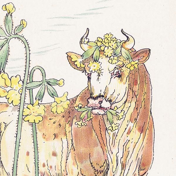 ץ顦ƥOxlip Flowers from Shakespeares Garden  륿쥤 1906ǯ  | 2006