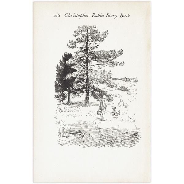 The Christopher Robin Story Book  饷åס ơץ 1955ǯ 1007