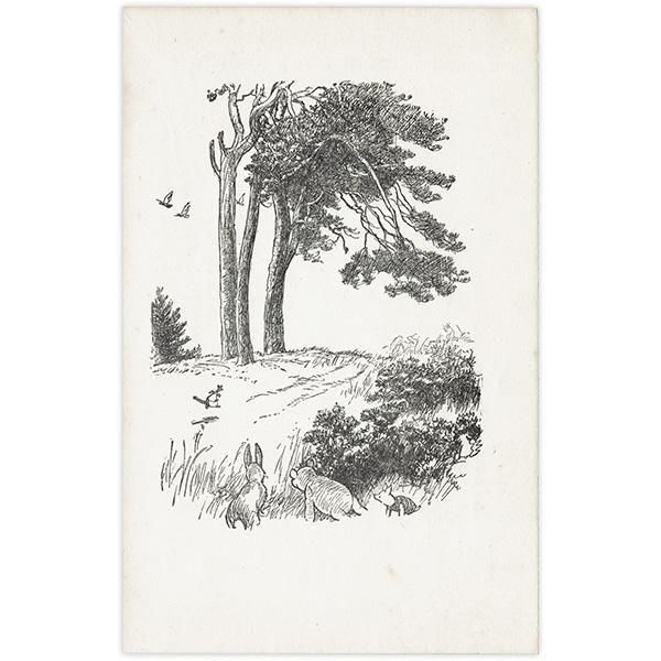 Winnie-the-Pooh  饷åס ơץ 1949ǯ 4902