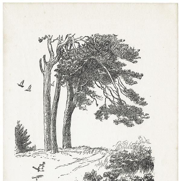 Winnie-the-Pooh  饷åס ơץ 1949ǯ 4902