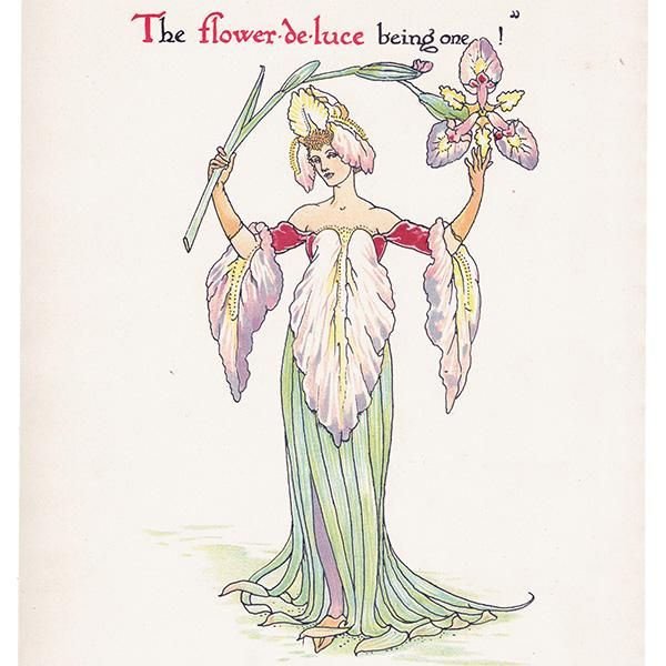 ꥹFlower-de-luce Flowers from Shakespeares Garden  륿쥤 1906ǯ  | 2007