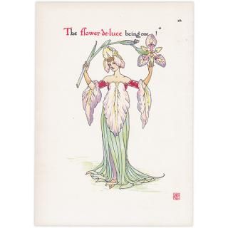 ꥹFlower-de-luce Flowers from Shakespeares Garden  륿쥤 1906ǯ  | 2007