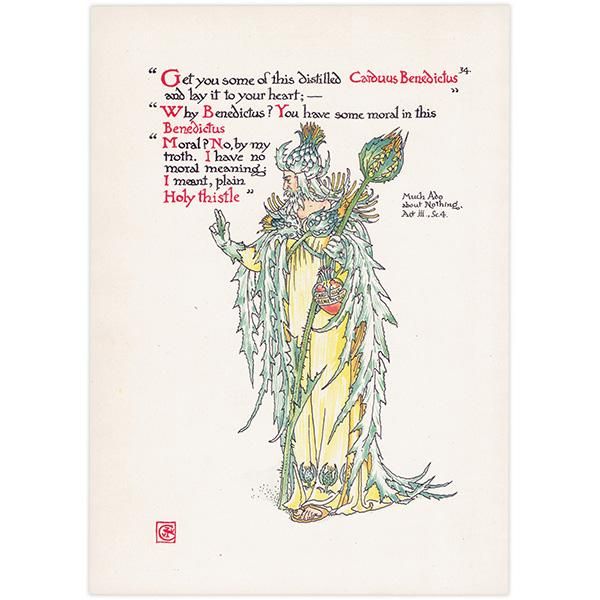 ʤ륢ߡHoly Thistle Flowers from Shakespeares Garden  륿쥤 1906ǯ  | 2008