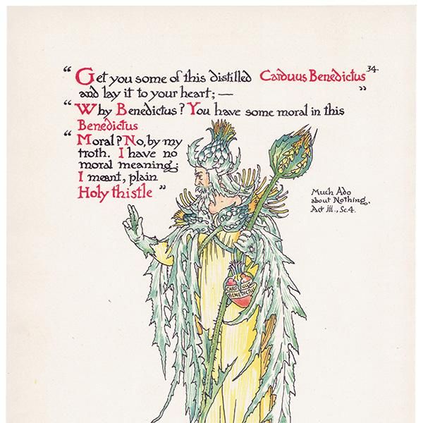 ʤ륢ߡHoly Thistle Flowers from Shakespeares Garden  륿쥤 1906ǯ  | 2008