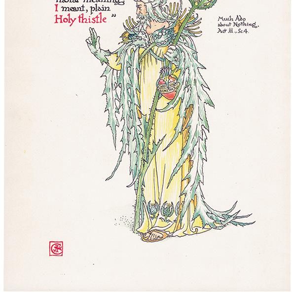 ʤ륢ߡHoly Thistle Flowers from Shakespeares Garden  륿쥤 1906ǯ  | 2008
