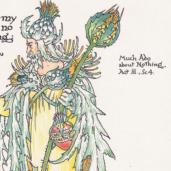 ʤ륢ߡHoly Thistle Flowers from Shakespeares Garden  륿쥤 1906ǯ  | 2008